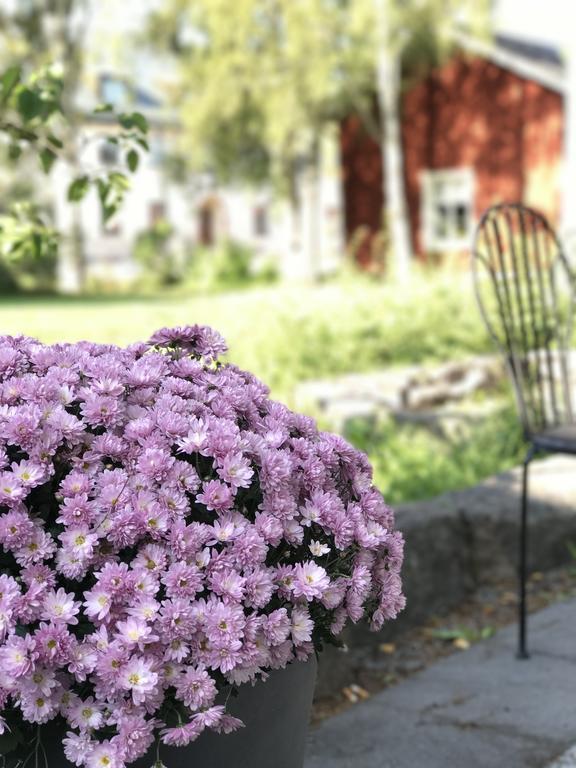Sunderby Folkhoegskola Hotell & Konferens Luleå Zewnętrze zdjęcie