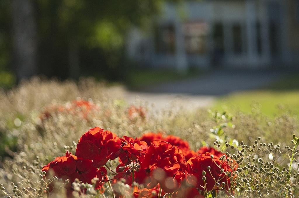 Sunderby Folkhoegskola Hotell & Konferens Luleå Zewnętrze zdjęcie